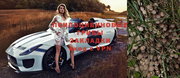 гидра Абинск